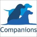 Dog Training