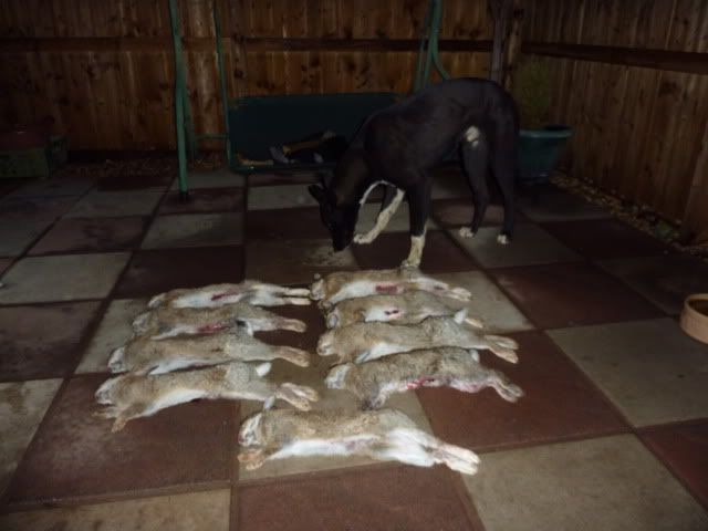 buster73qtrmonths003.jpg