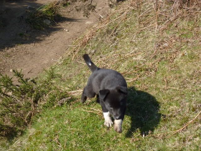 buster7weeks013.jpg