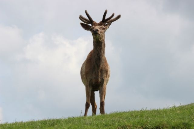 b22b9b66-0cb2-4b8f-a27a-76350e58ae85_zps