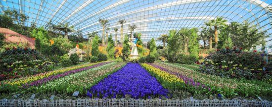 Garden By The Bay Award gardensthe bay wins thea award for outstanding achievement in Garden By The Bay Award gardensthe bay wins thea award for outstanding achievement in