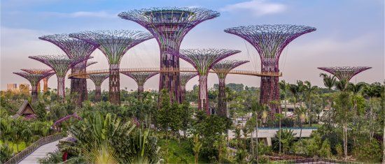 Garden By The Bay Award gardensthe bay wins thea award for outstanding achievement in Garden By The Bay Award gardensthe bay wins thea award for outstanding achievement in