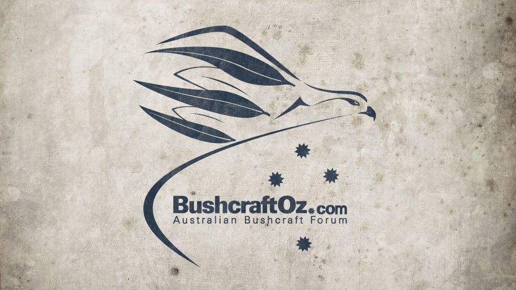 bushcraftoz_birdWallpaper_2560x1440.jpg