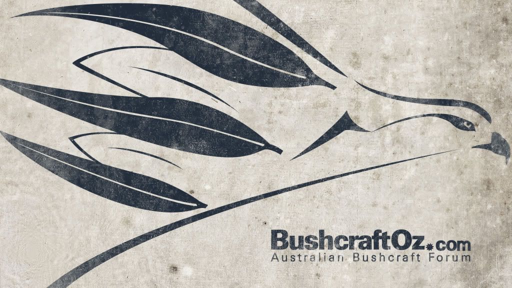 bushcraftoz_bridFull_Wallpaper_2560x1440.jpg