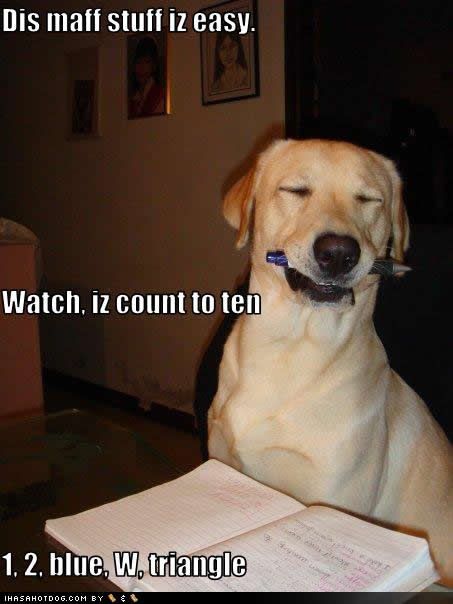 funny-dog-pictures-count-ten.jpg
