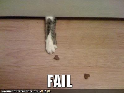 fail funnies. funny-pictures-fail-cat-paw.