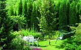 http://i913.photobucket.com/albums/ac334/jessie_roces_photos/nature/photo11.jpg