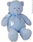 teddy bear Pictures, Images and Photos