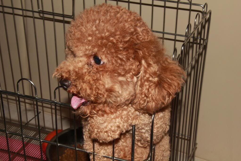 Canon-歡迎各位一起大樓慢慢蓋((生活隨意拍~不定時更新7041||小老婆汽機車資訊網