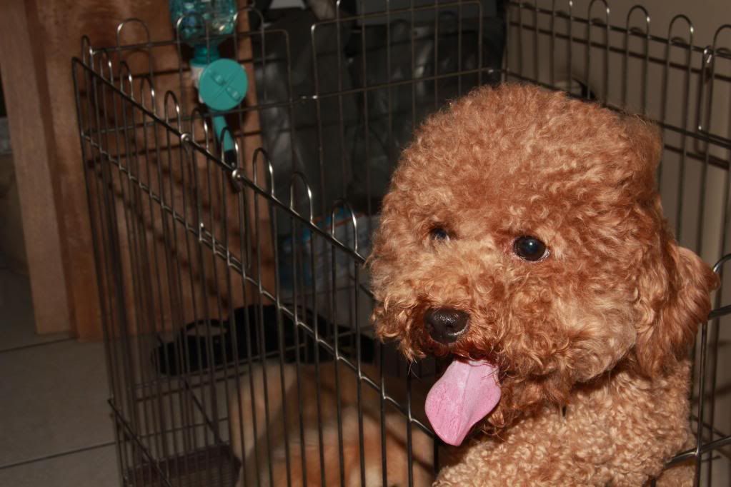 Canon-歡迎各位一起大樓慢慢蓋((生活隨意拍~不定時更新8024||小老婆汽機車資訊網