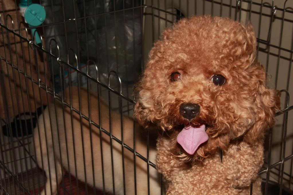 Canon-歡迎各位一起大樓慢慢蓋((生活隨意拍~不定時更新8129||小老婆汽機車資訊網