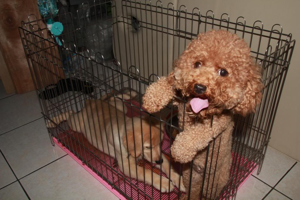 Canon-歡迎各位一起大樓慢慢蓋((生活隨意拍~不定時更新2843||小老婆汽機車資訊網