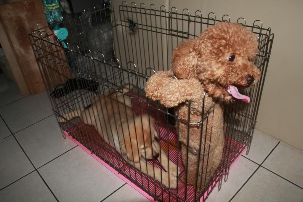 Canon-歡迎各位一起大樓慢慢蓋((生活隨意拍~不定時更新56||小老婆汽機車資訊網