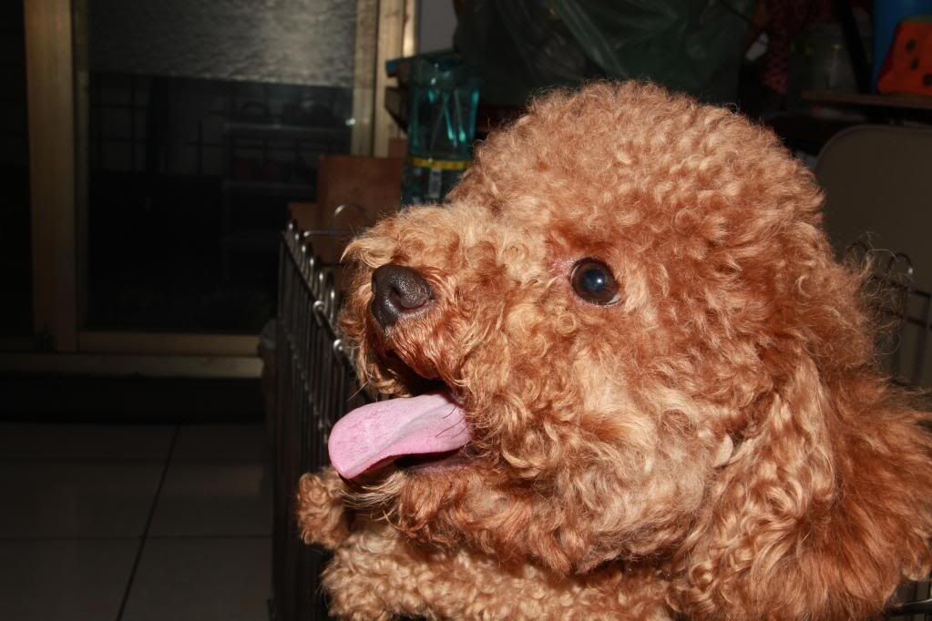 Canon-歡迎各位一起大樓慢慢蓋((生活隨意拍~不定時更新2355||小老婆汽機車資訊網