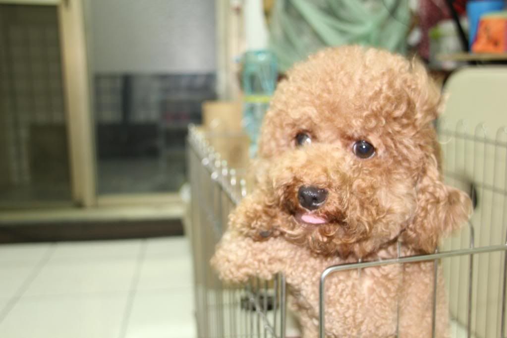 Canon-歡迎各位一起大樓慢慢蓋((生活隨意拍~不定時更新3296||小老婆汽機車資訊網