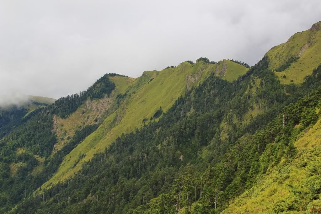 Canon-歡迎各位一起大樓慢慢蓋((生活隨意拍~不定時更新2789||小老婆汽機車資訊網