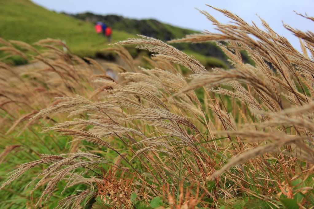 Canon-歡迎各位一起大樓慢慢蓋((生活隨意拍~不定時更新3665||小老婆汽機車資訊網