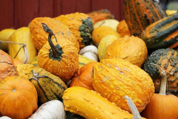 Octoberblog099_zps2117fba8