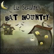 Liz Schulte's Bat Country