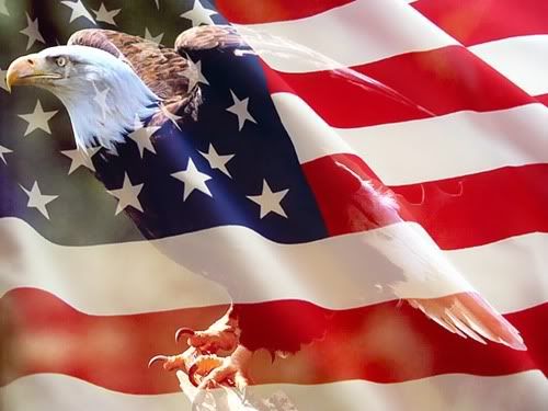 american flag eagle. eagle and american flag