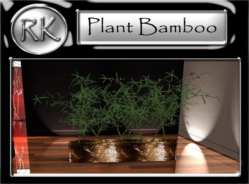 plant bamboo