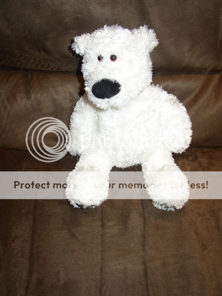 White Gund Teddy Bear Francis Baby Lovey Plush Collect